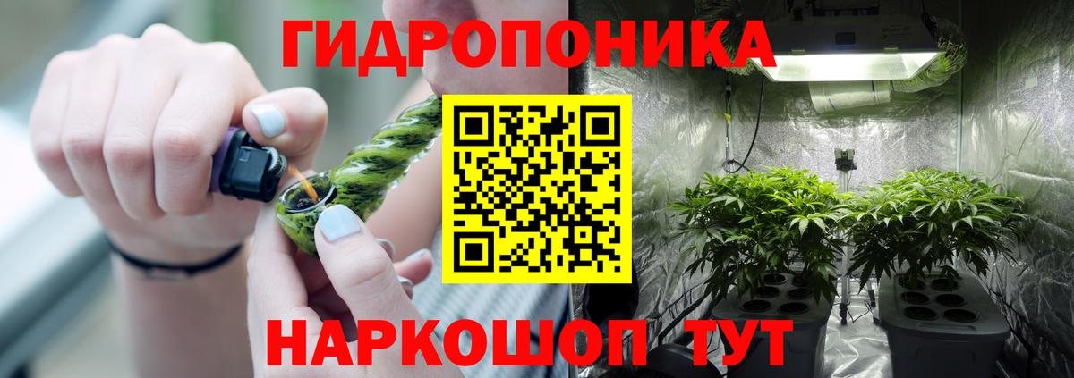 Бошки Шишки сатива Сланцы